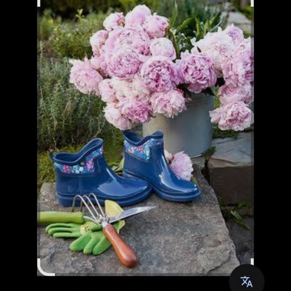 Martha Stewart Blue Over the Knee Boots